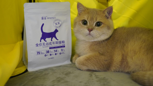 “原本杯”中国纯种猫冠军联赛顺利举办,新品繁育猫粮受追捧! “原本杯”中国纯种猫冠军联赛顺利举办,新品繁育猫粮受追捧!