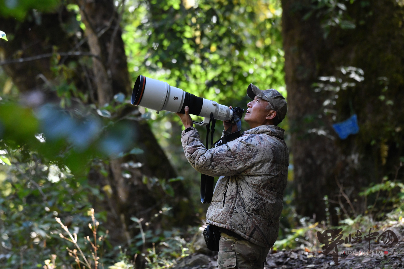 一位野生动物摄影师的38年:在云南,不止大象"离家出走