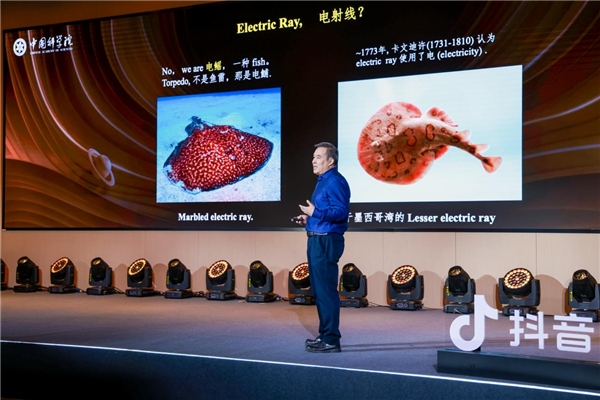 只要我们做的是从目前的市场情况选择域名，从简单易记，从个性特征上，我们就可以找到一个好域名进行注册。域名注册进行域名记录和解析以及绑定网站后，客户可以通过URL登录您的网站。