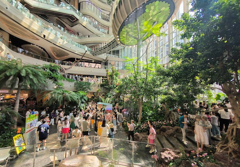 重庆消费商场800.jpg