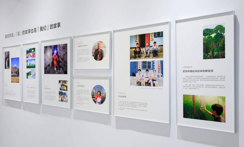 图片8.png