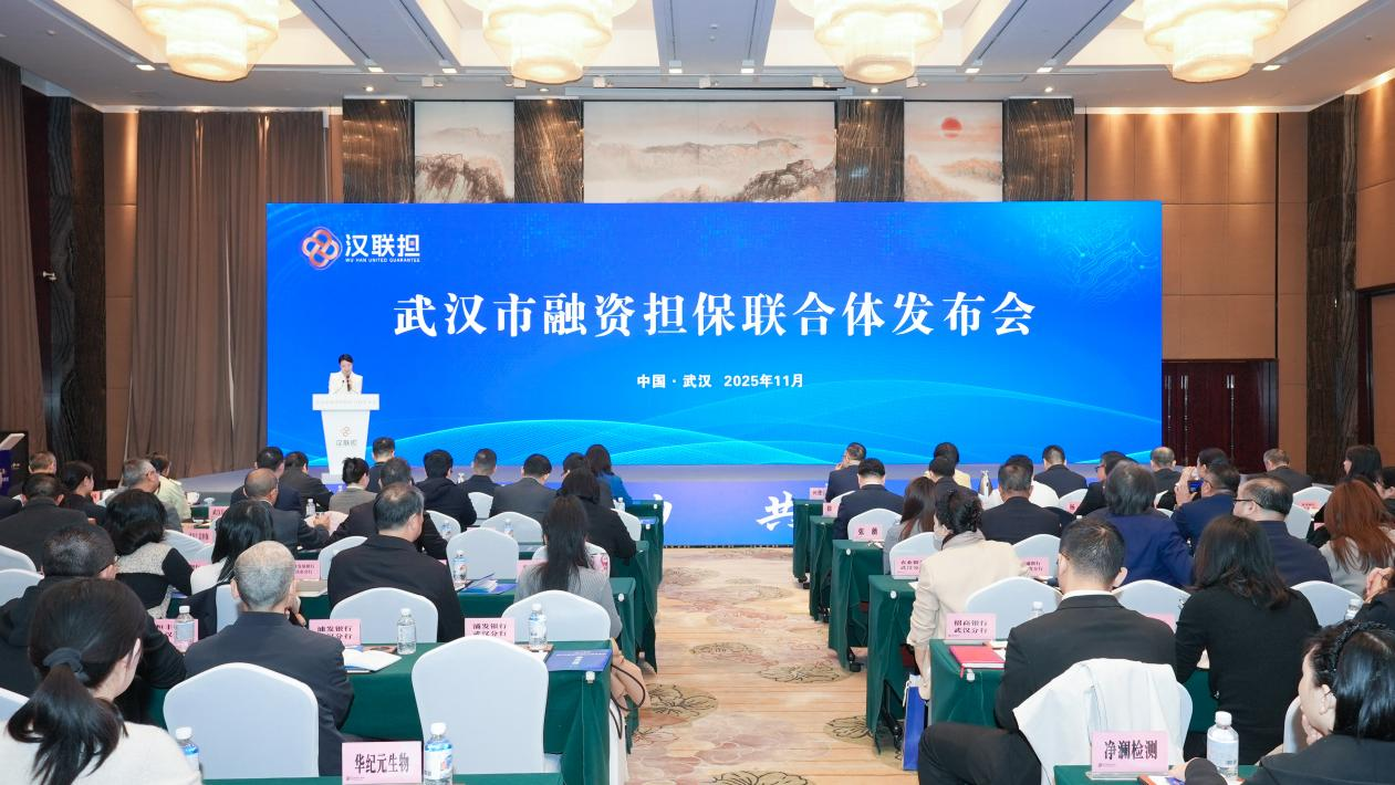 1762696003672558.png 汉联担.png