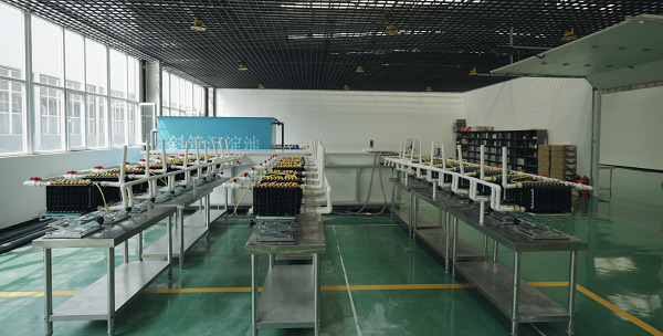 《“镁”梦成真：300吨级镁电联产量产级产线正式亮相，科技创新实现产业化落地》